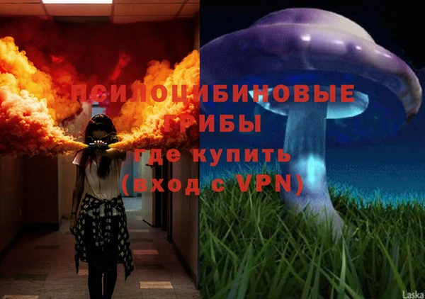 марки nbome Белокуриха