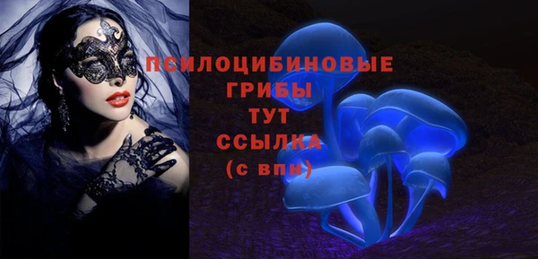 альфа пвп Беломорск